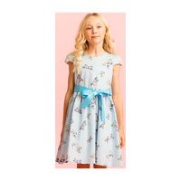 Cotton Butterfly Party Dress, Blue