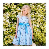 Cotton Butterfly Party Dress, Blue