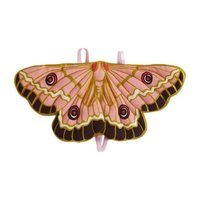 Butterfly Wings, Pink