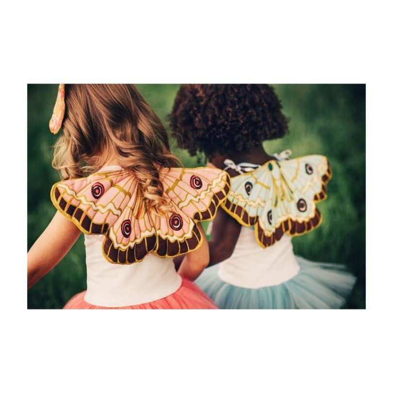 Butterfly Wings, Pink Butterfly Wings, Pink