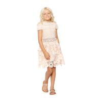 Valentina Lace Dress, Apricot