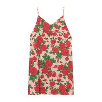 Weasel Dress, Nude Roses