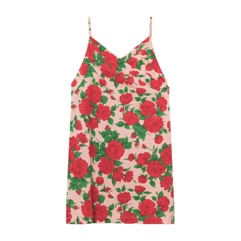 Weasel Dress, Nude Roses Weasel Dress, Nude Roses