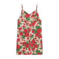 Weasel Dress, Nude Roses
