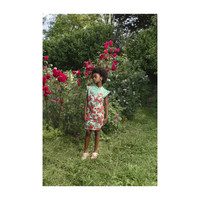 Weasel Dress, Nude Roses