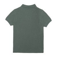Hudson Polo Shirt, Sage