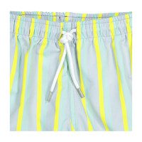 Swim Shorts, Summer Stripes
