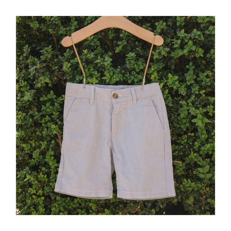 Party Shorts, Stripes Party Shorts, Stripes