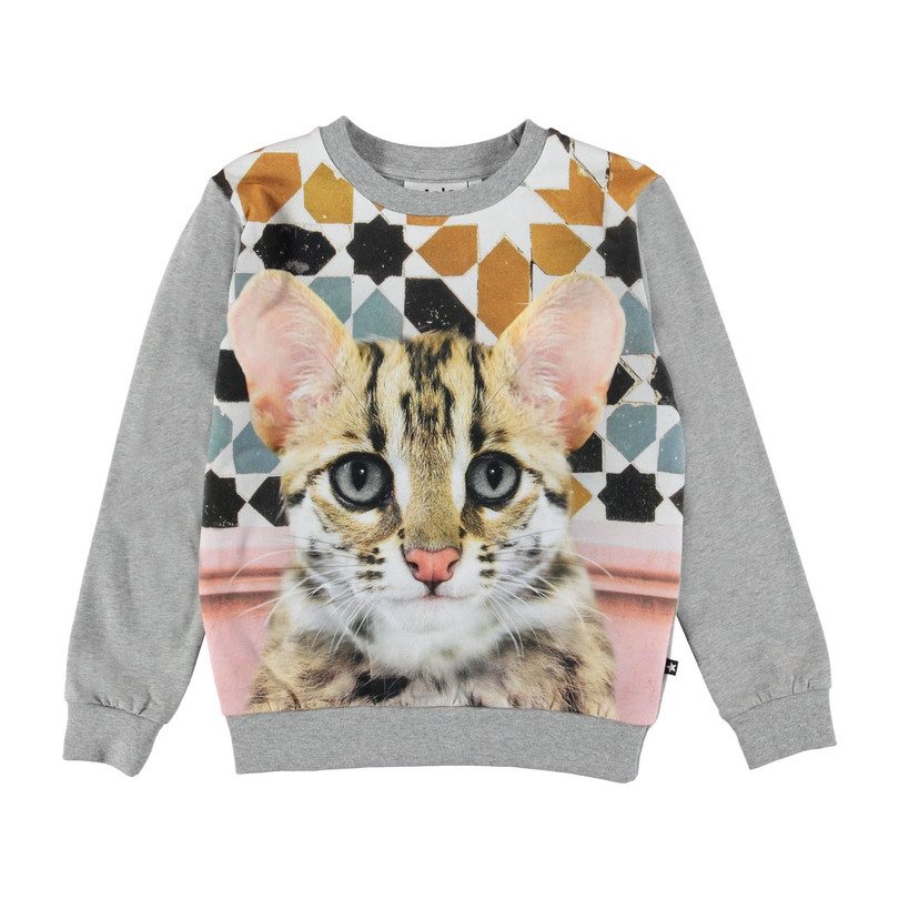 Bengal Portrait Sweatshirt, Grey Bengal Portrait Sweatshirt, Grey