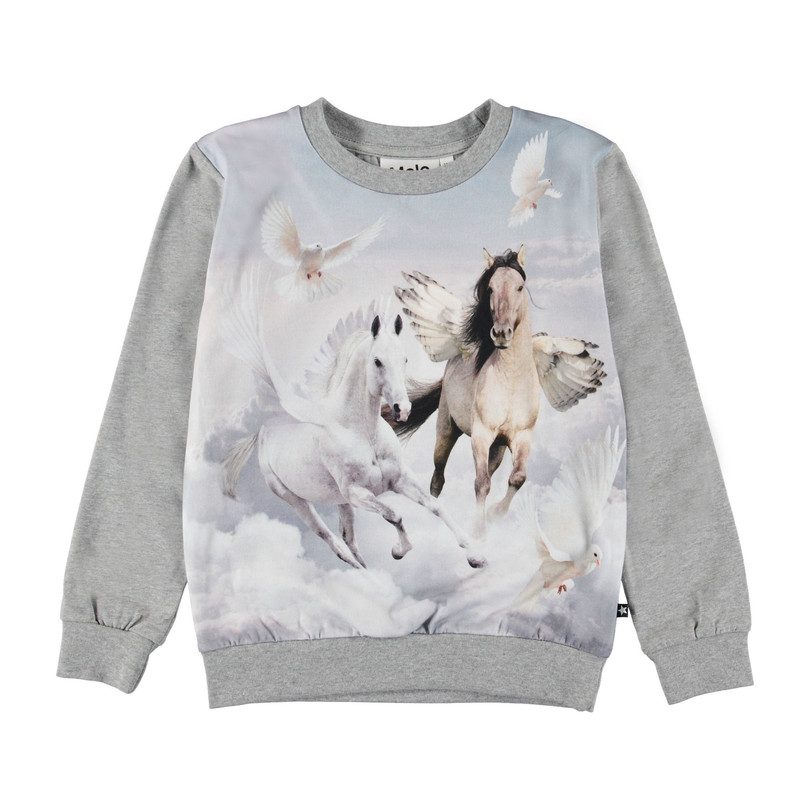 Regine Unicorn Sweatshirt Regine Unicorn Sweatshirt