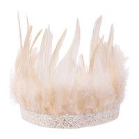 Pink Feather Party Crown