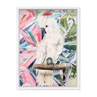 Modern Cockatoo, Framed