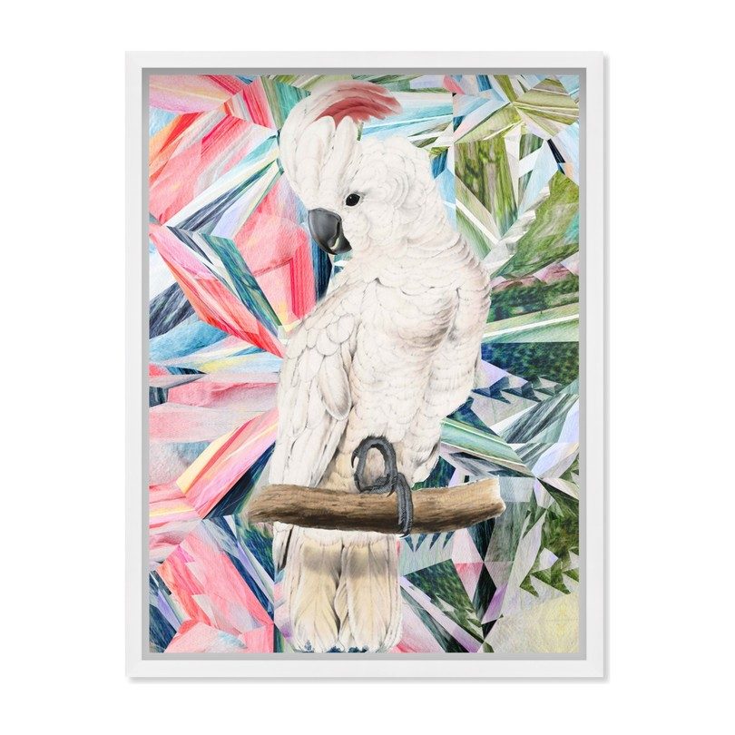 Modern Cockatoo, Framed Modern Cockatoo, Framed