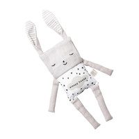 Bunny Flippy Friend