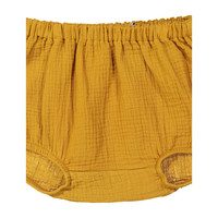 Roger Bloomer, Ocher
