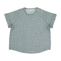 Sebastien Shirt, Celadon Stars