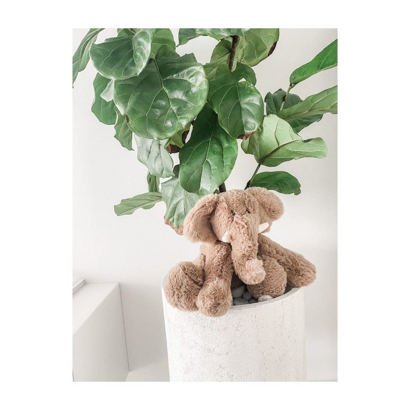 Oliver Elephant Plush Toy main image 1